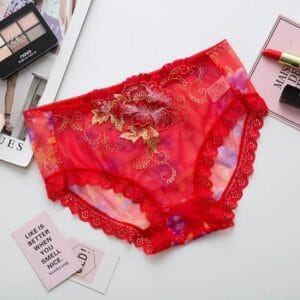 Lace Seamless Embroidered G-String Underpants - আরাম ও স্টাইলের নিখুঁত সংমিশ্রণ